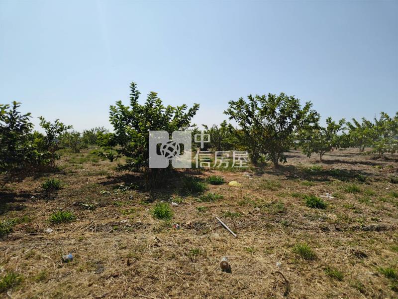 近興達港臨20米路大面寬農地房屋室內格局與周邊環境