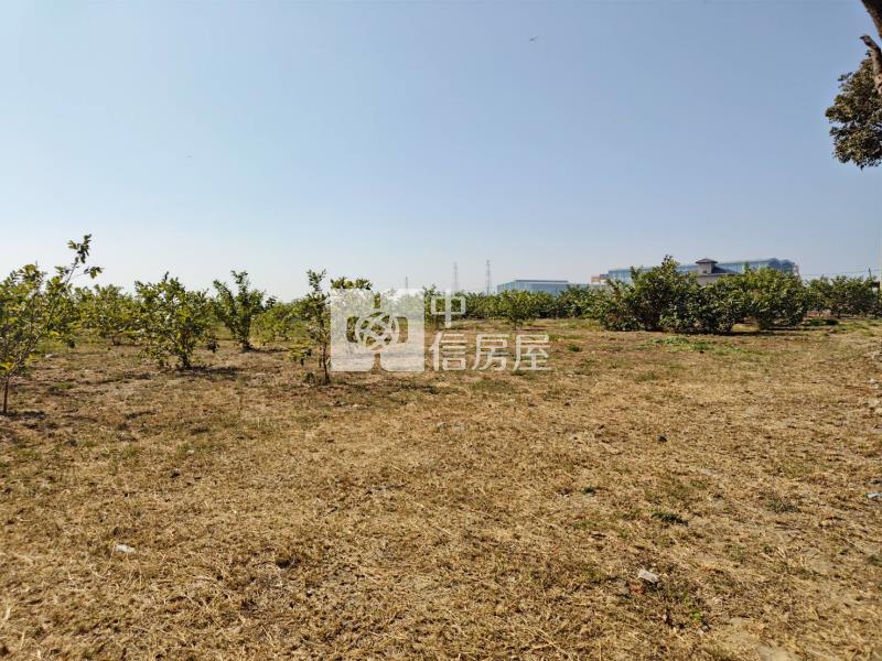 近興達港臨20米路大面寬農地房屋室內格局與周邊環境