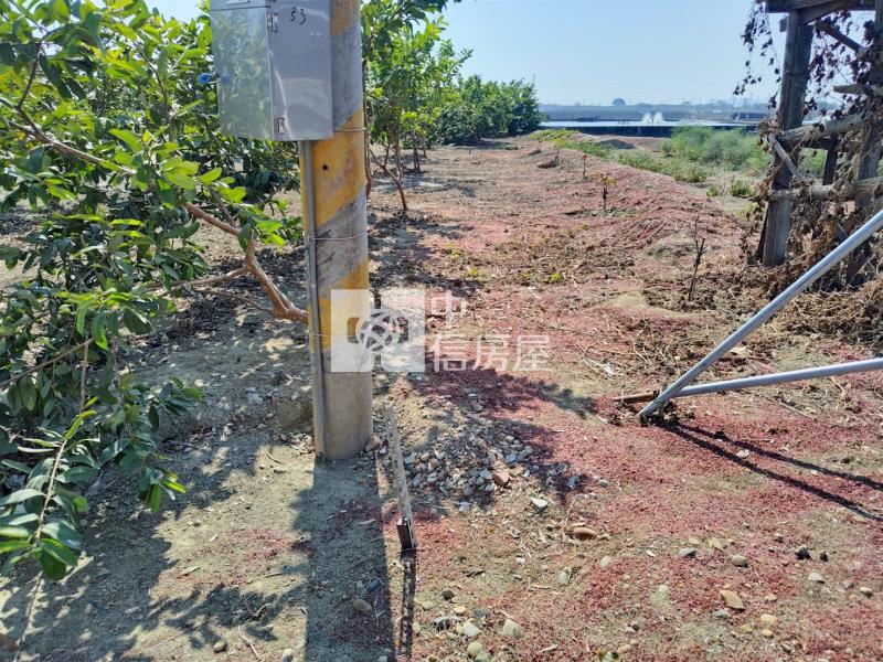 近興達港臨20米路大面寬農地房屋室內格局與周邊環境