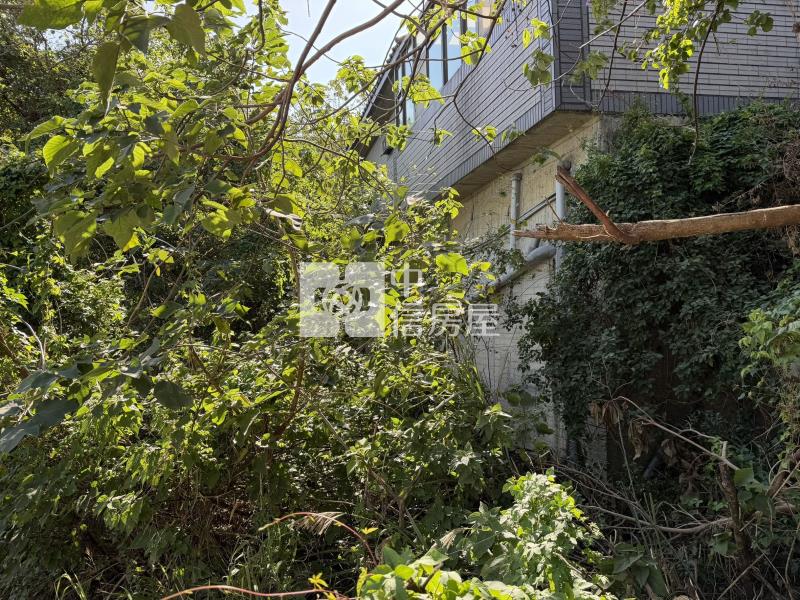 寶山吉林路面寬農地房屋室內格局與周邊環境