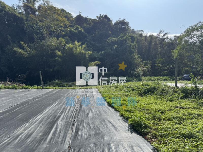 【新夢想】關西臨路大地坪臨路美農地房屋室內格局與周邊環境