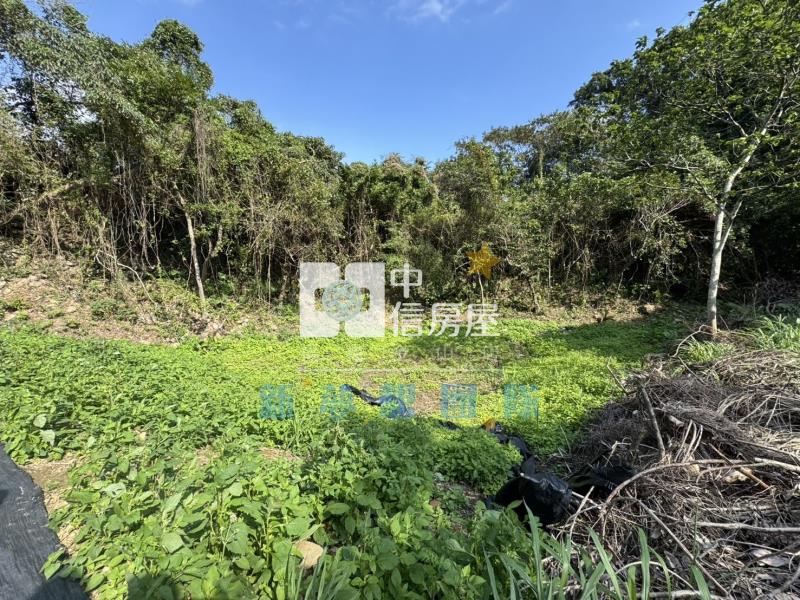 【新夢想】關西臨路大地坪臨路美農地房屋室內格局與周邊環境