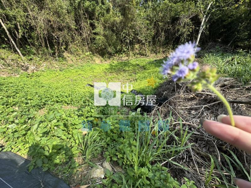 【新夢想】關西臨路大地坪臨路美農地房屋室內格局與周邊環境