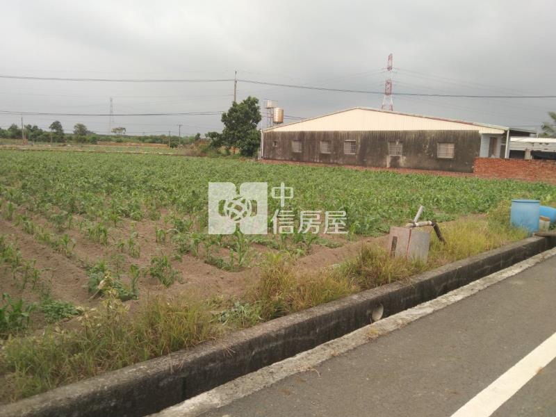 (專)善化東勢寮8米路有水電農地房屋室內格局與周邊環境