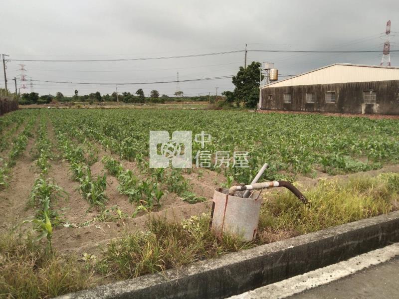 (專)善化東勢寮8米路有水電農地房屋室內格局與周邊環境