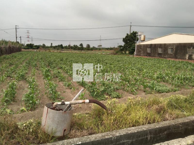 (專)善化東勢寮8米路有水電農地房屋室內格局與周邊環境