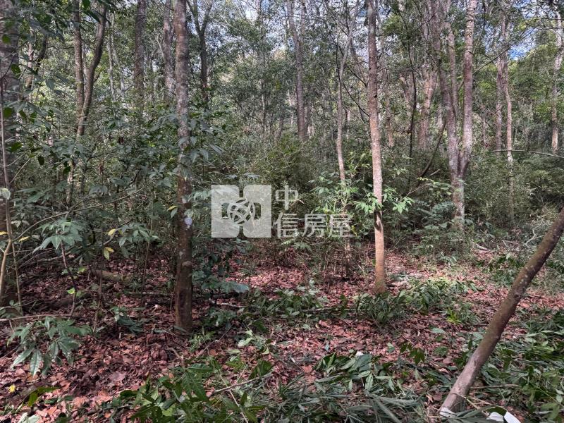 觀音山茶園房屋室內格局與周邊環境