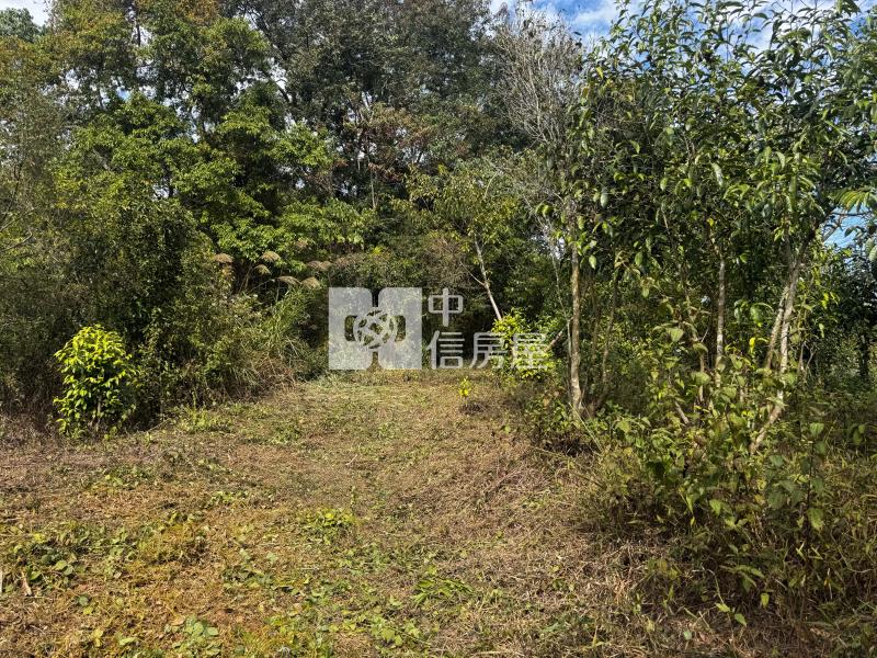 觀音山茶園房屋室內格局與周邊環境