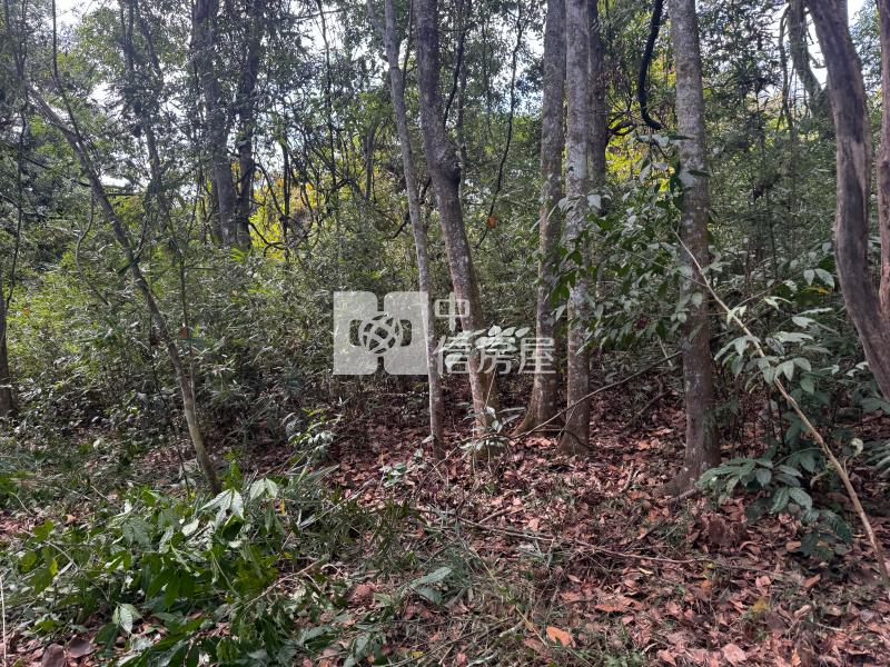 觀音山茶園房屋室內格局與周邊環境