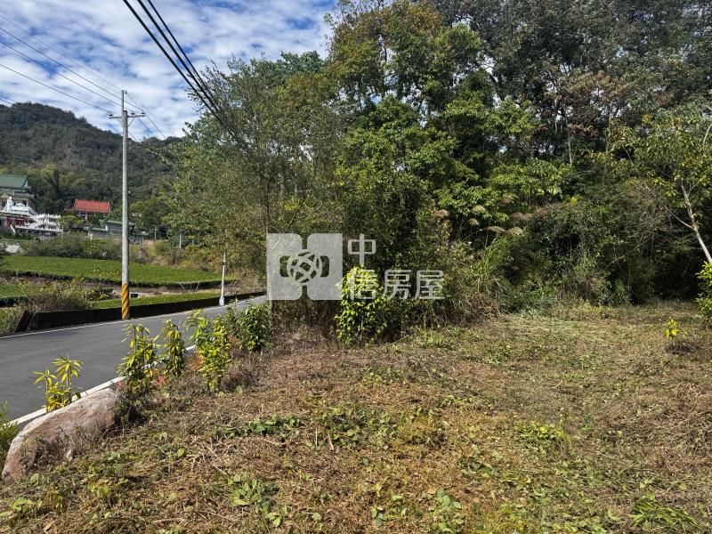 觀音山茶園房屋室內格局與周邊環境