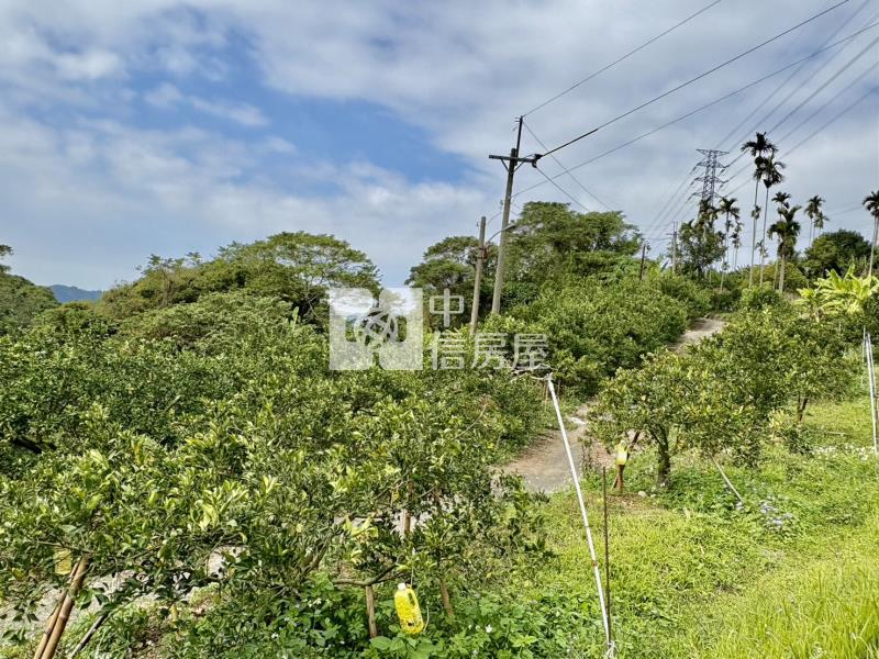 大坑8米路平坦橘子果園房屋室內格局與周邊環境