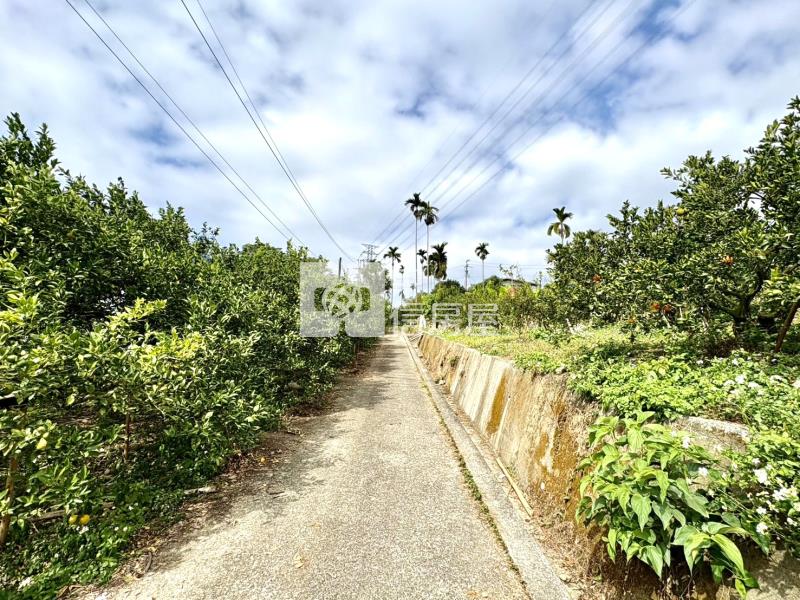 大坑8米路平坦橘子果園房屋室內格局與周邊環境