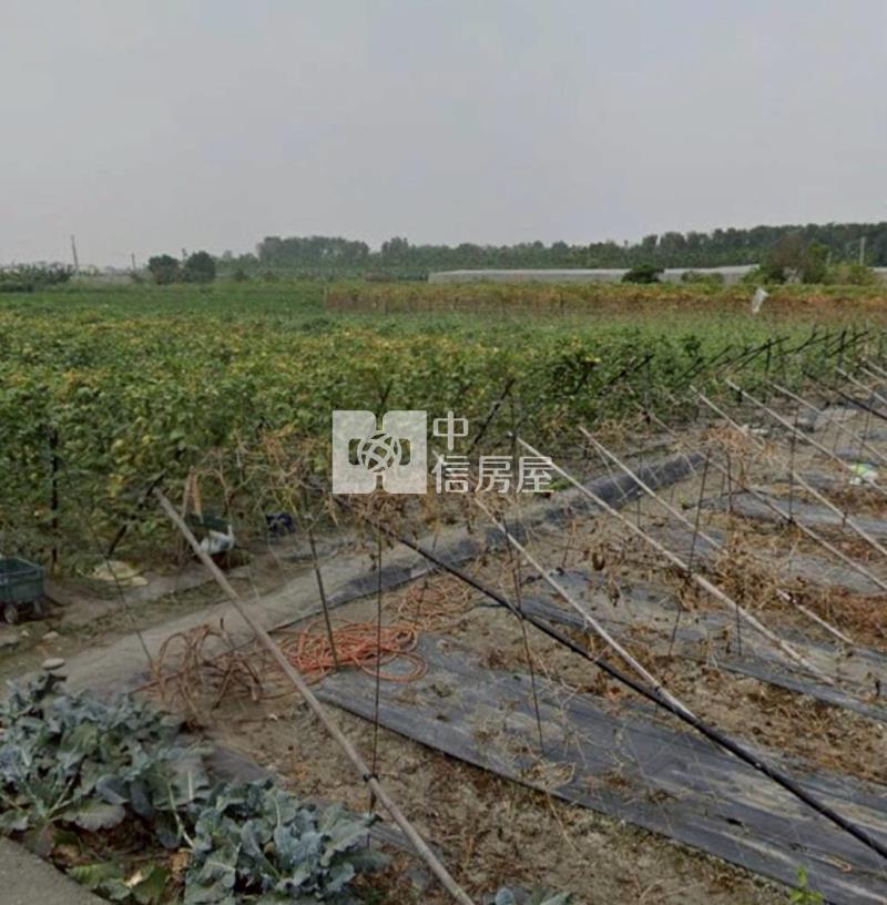 屏東高樹田庄3分9一般美農地房屋室內格局與周邊環境