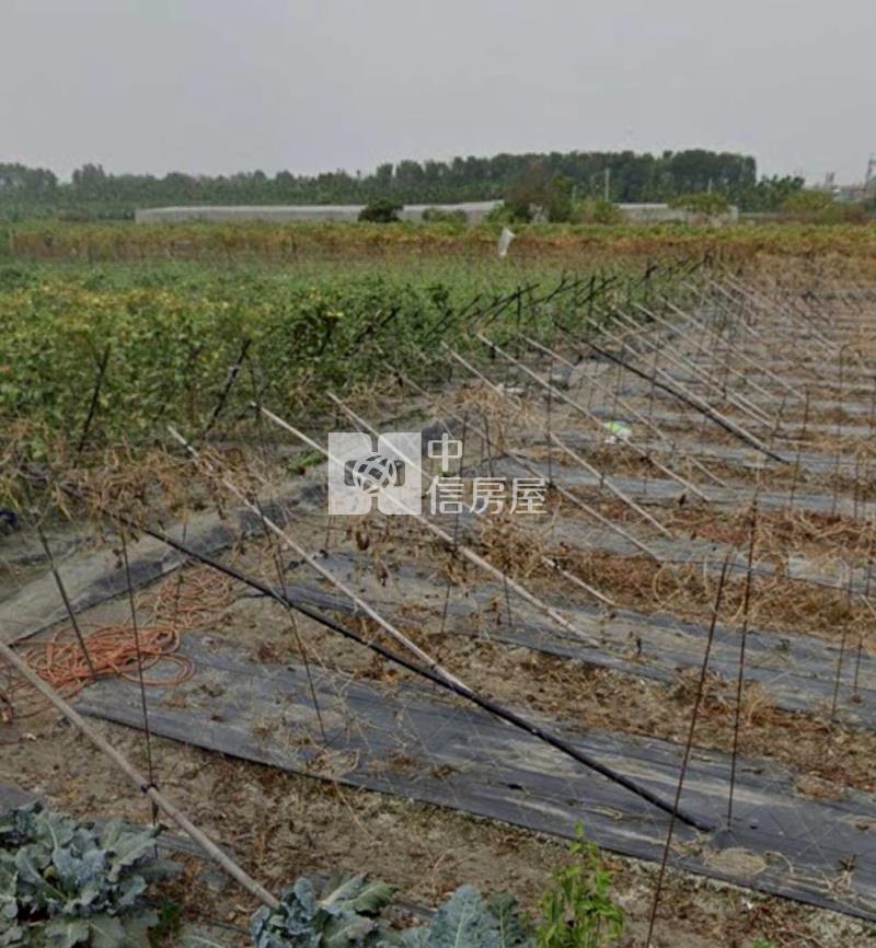 屏東高樹田庄3分9一般美農地房屋室內格局與周邊環境