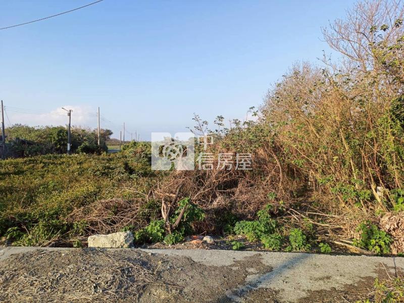 東勢158甲大路邊農地房屋室內格局與周邊環境