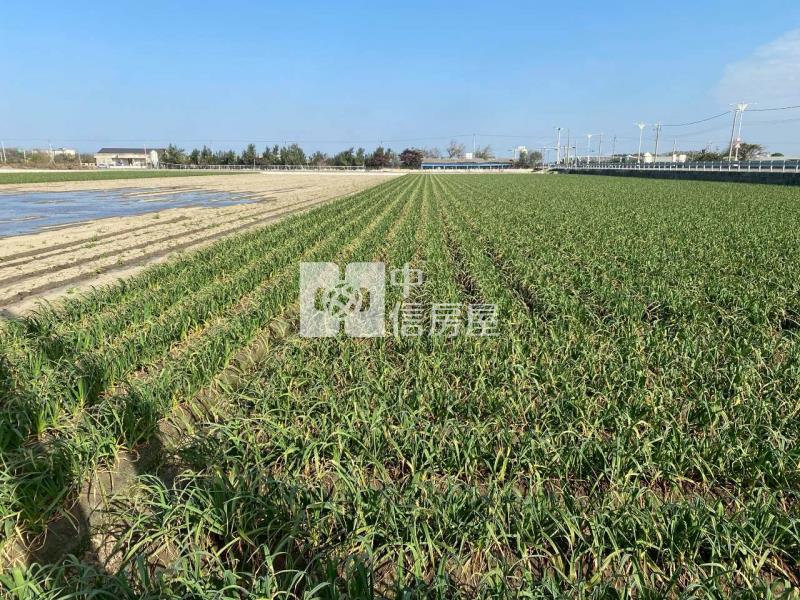 東勢臨153縣道農地房屋室內格局與周邊環境