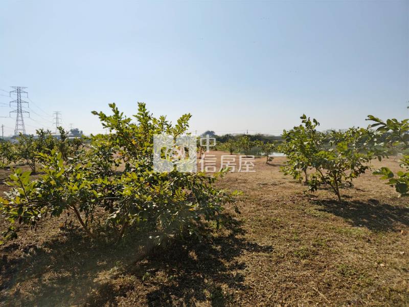 湖內近東方路大面寬農地房屋室內格局與周邊環境