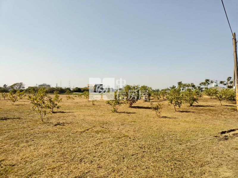 湖內近東方路大面寬農地房屋室內格局與周邊環境