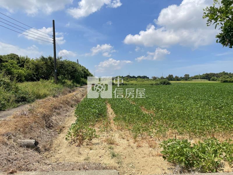近66快速路 農+建地房屋室內格局與周邊環境