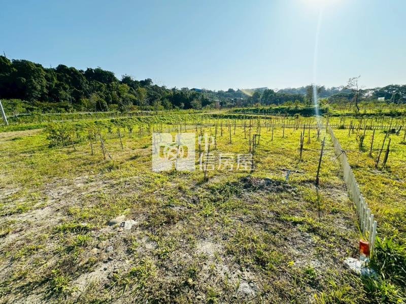 大溪高中休閒美農地-B房屋室內格局與周邊環境