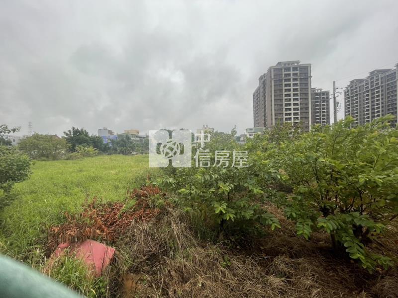 中壢仁德段都計內方正農地房屋室內格局與周邊環境