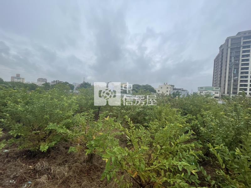 中壢仁德段都計內方正農地房屋室內格局與周邊環境