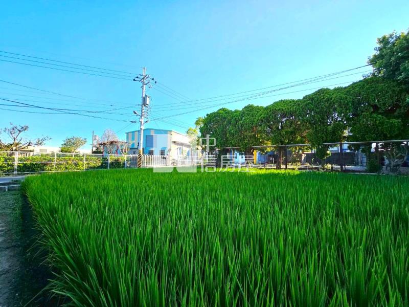 昌平路五段巷內都計內大地坪農地房屋室內格局與周邊環境