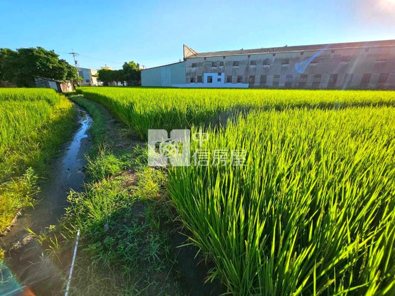 昌平路五段巷內都計內大地坪農地房屋室內格局與周邊環境