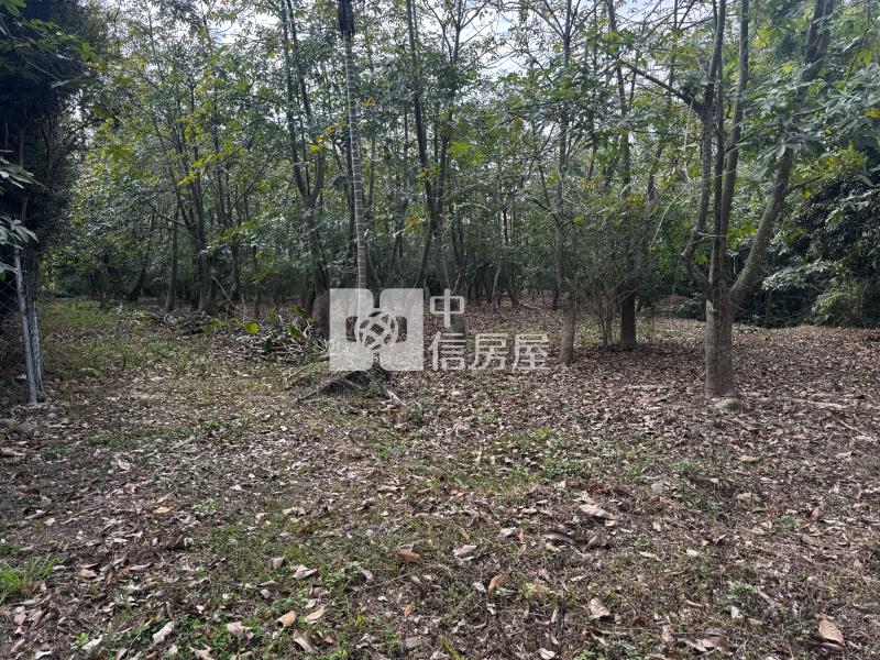 國姓草莓園田+建房屋室內格局與周邊環境