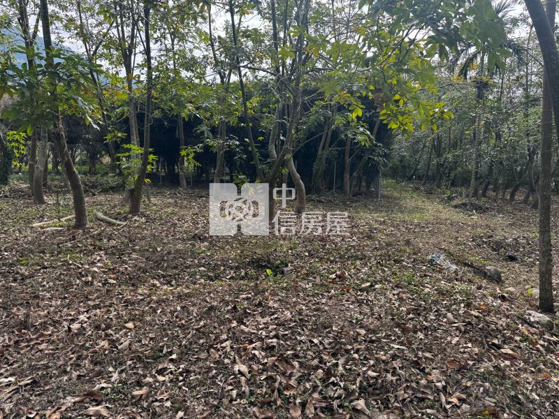 國姓草莓園田+建房屋室內格局與周邊環境