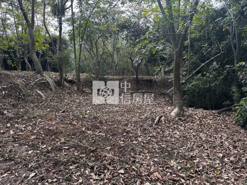 國姓草莓園田+建房屋室內格局與周邊環境