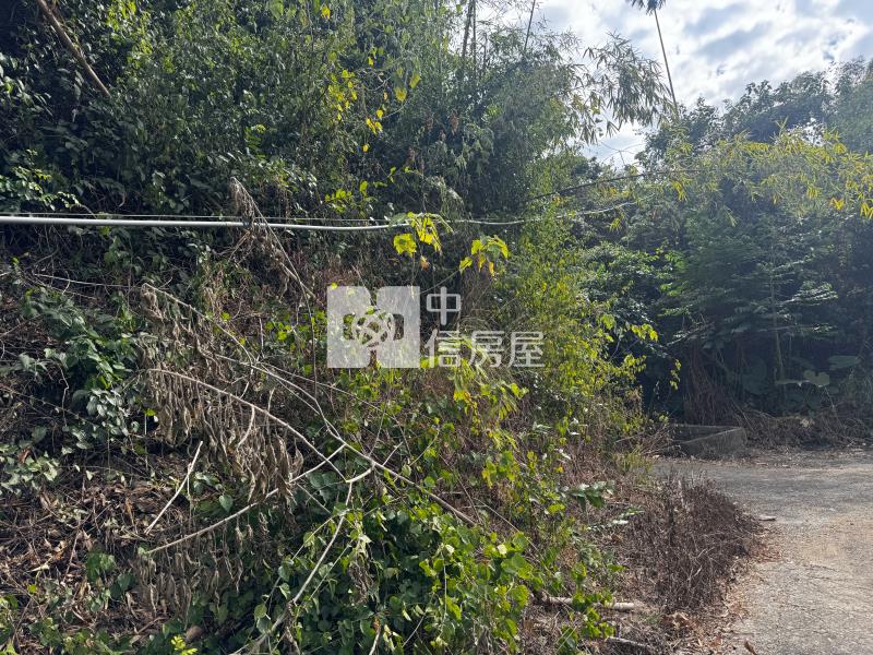 國姓草莓園田+建房屋室內格局與周邊環境