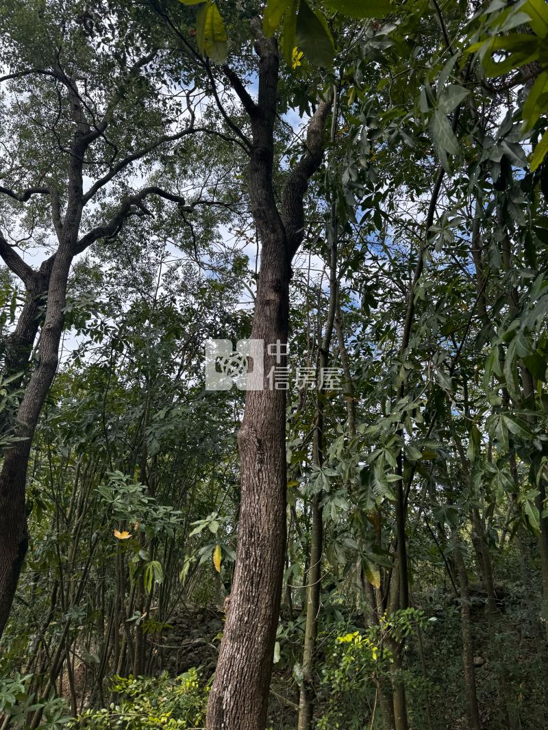國姓草莓園田+建房屋室內格局與周邊環境
