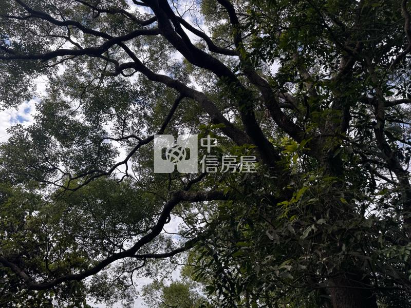 國姓草莓園田+建房屋室內格局與周邊環境