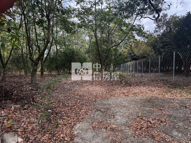 國姓草莓園田+建房屋室內格局與周邊環境