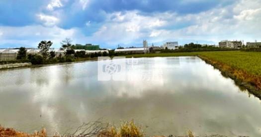 雲林斗六貞寮方正美農地房屋室內格局與周邊環境