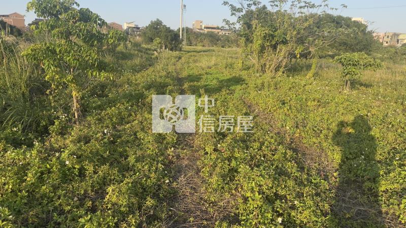 新屋頭洲國小一般農開心農場房屋室內格局與周邊環境