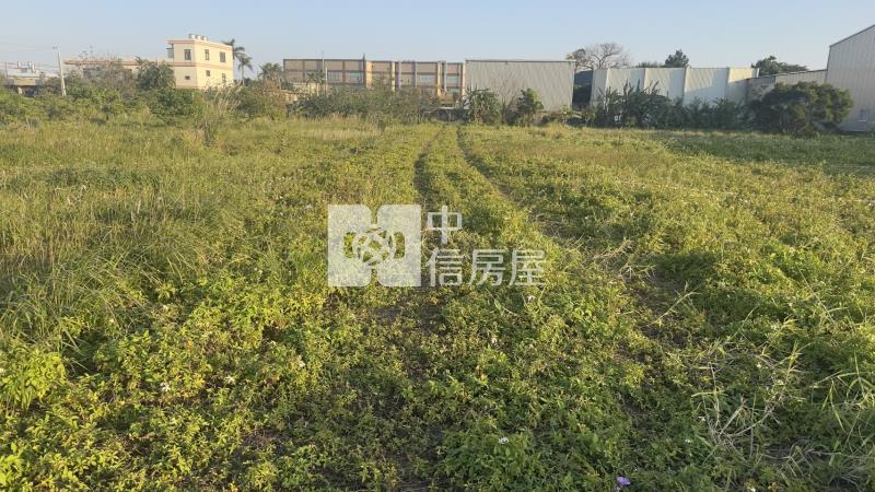 新屋頭洲國小一般農開心農場房屋室內格局與周邊環境