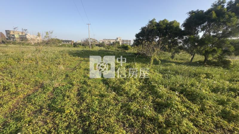 新屋頭洲國小一般農開心農場房屋室內格局與周邊環境