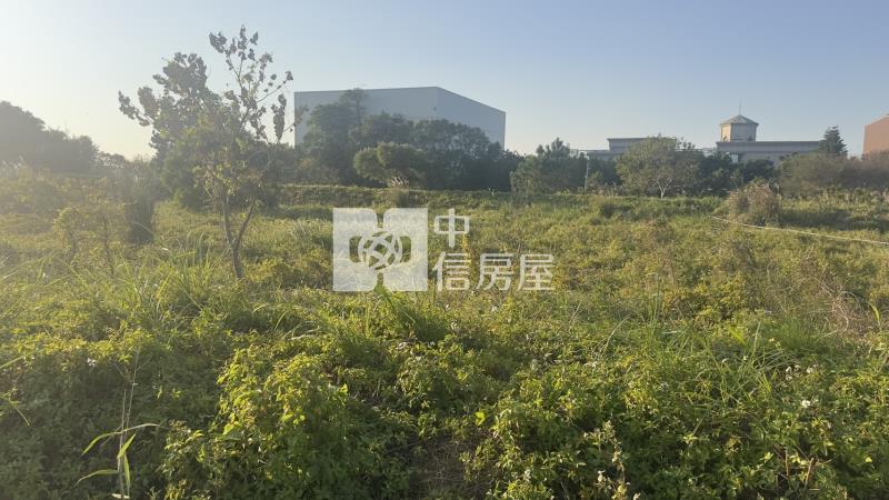 新屋頭洲國小一般農開心農場房屋室內格局與周邊環境