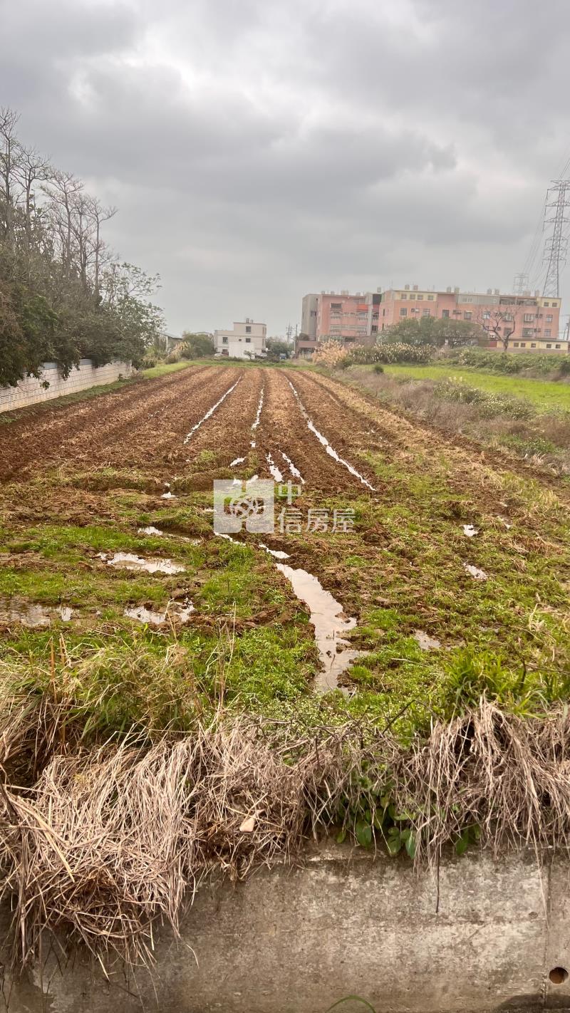 觀音資材室房屋室內格局與周邊環境