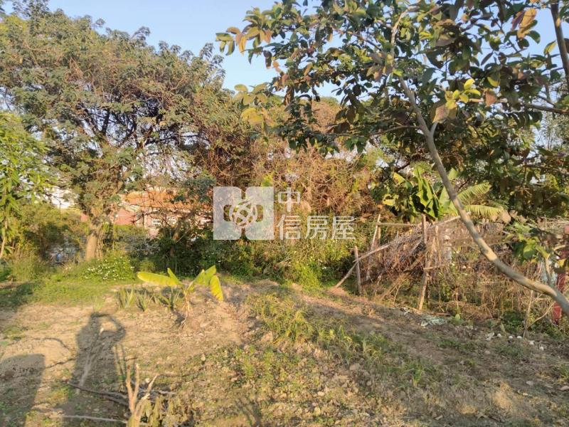 普忠路都計內農地房屋室內格局與周邊環境