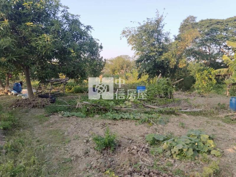 普忠路都計內農地房屋室內格局與周邊環境