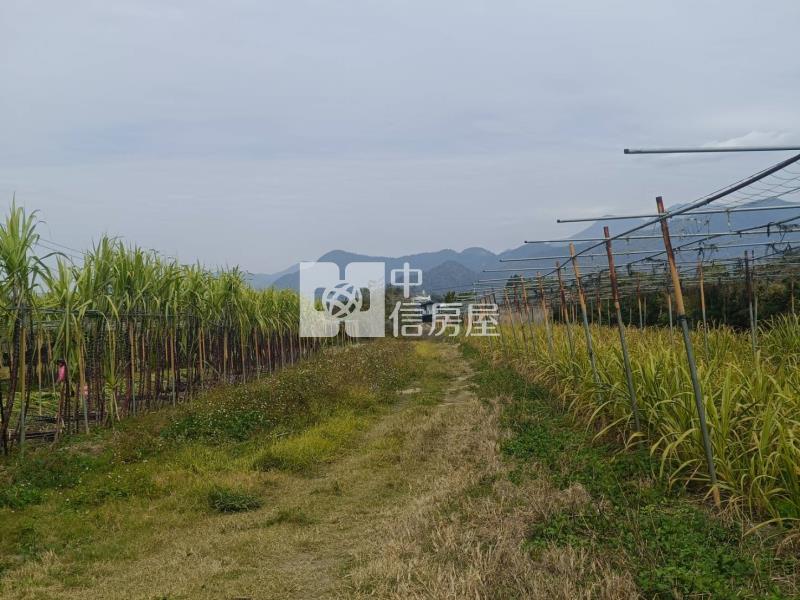 籃城山野233房屋室內格局與周邊環境
