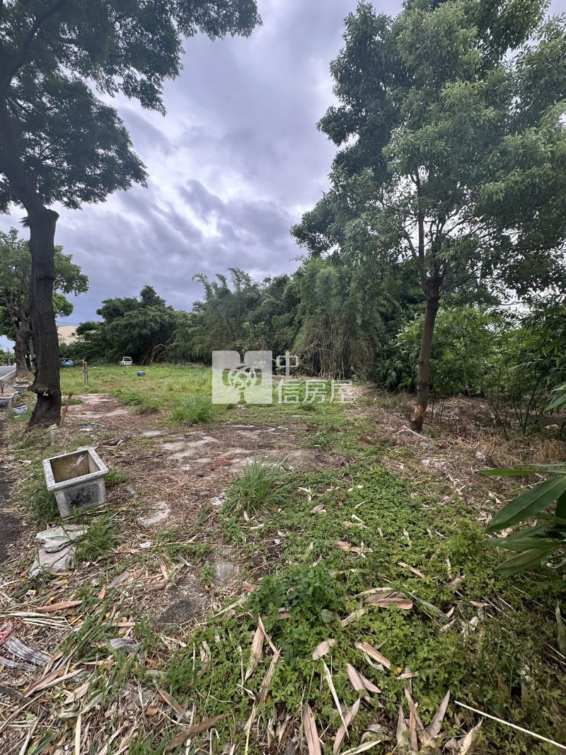 正廣興路大面寬農地房屋室內格局與周邊環境