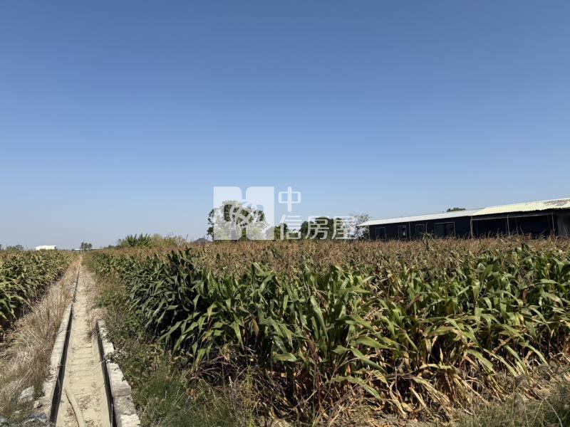 臨新吉工業區優勢一般農地房屋室內格局與周邊環境