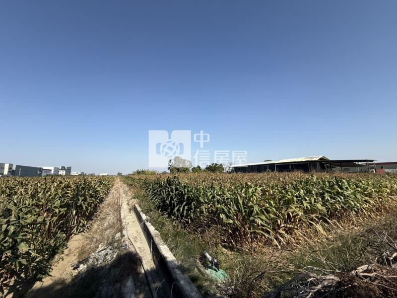 臨新吉工業區優勢一般農地房屋室內格局與周邊環境