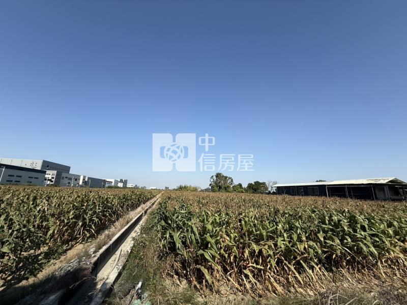 臨新吉工業區優勢一般農地房屋室內格局與周邊環境
