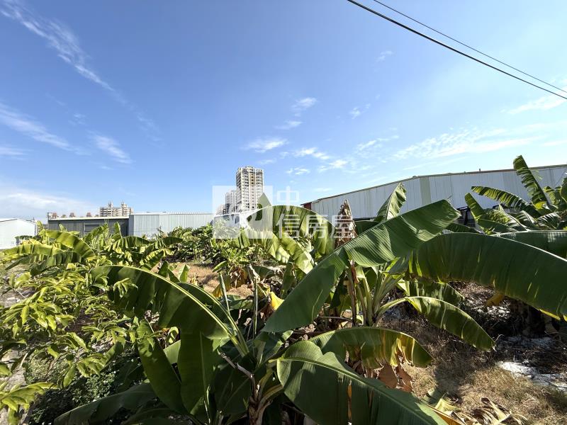 大里臨路都計內農地房屋室內格局與周邊環境