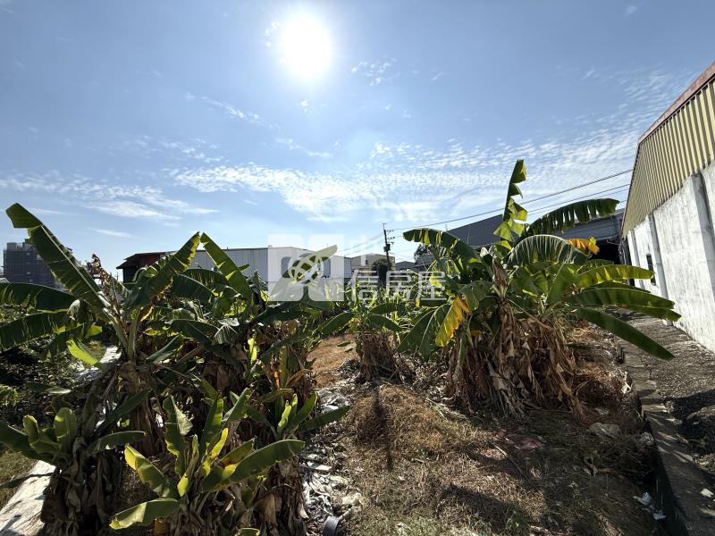 大里臨路都計內農地房屋室內格局與周邊環境